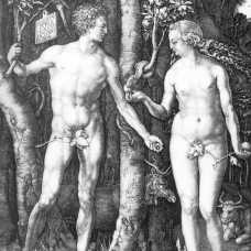 Adán y Eva - Albrecht Durer